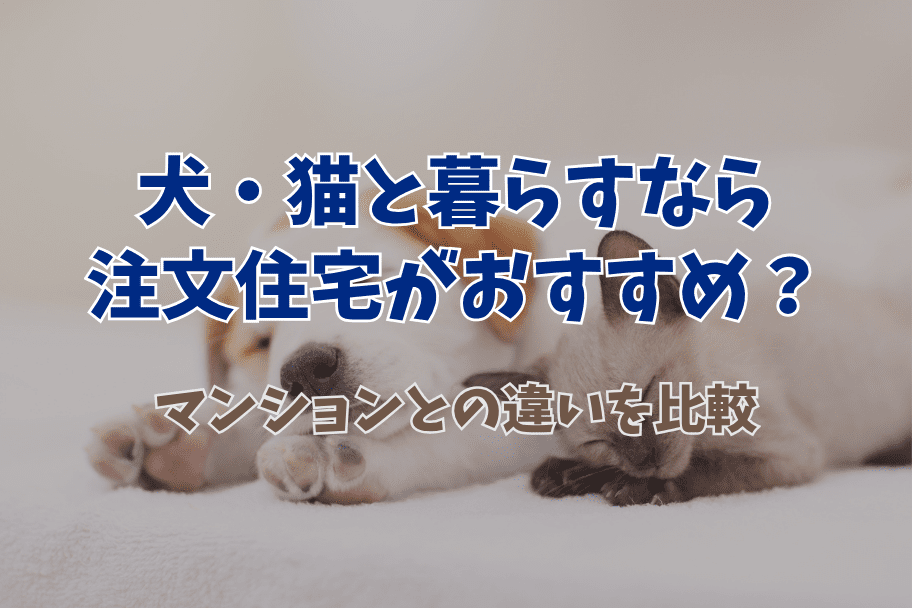 記事のイメージ