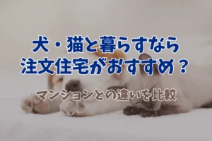 記事のサムネイル画像